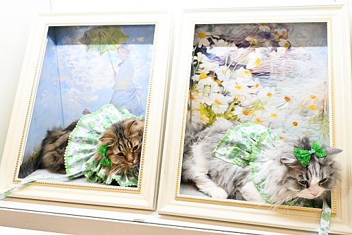 画像ギャラリー No.074のサムネイル画像 / 犬猫のお写真をいっぱい撮っただけでゴメンナサイ! おもしろワンニャンアイテムたくさんの“インターペット2026”