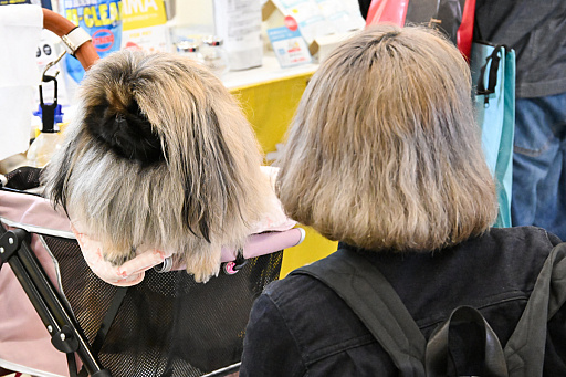 画像ギャラリー No.079のサムネイル画像 / 犬猫のお写真をいっぱい撮っただけでゴメンナサイ! おもしろワンニャンアイテムたくさんの“インターペット2026”