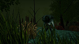 Eyes of the ElderWood