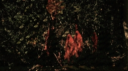 画像ギャラリー No.003のサムネイル画像 / 舞台が異なる2つの怪談話に潜む違和感を読み解く。短編ホラービジュアルノベル「恐怖夜話」,Steamで配信開始。セール価格は120円(税込)