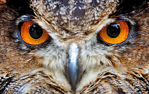 画像ギャラリー No.007のサムネイル画像 / 「実験の失敗を恐れてはいけない」。Googleのノア・ファルシュタイン氏が,VR対応ゲームの開発者に7つの心得を伝授